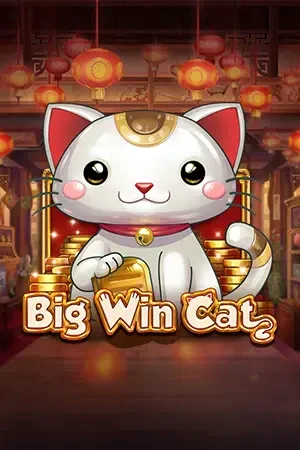 ONE88 Big Win Cat