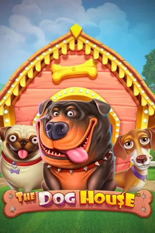 ONE88 The Dog House