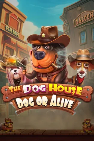 ONE88 The Dog House - Dog or Alive